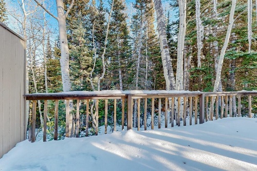 Moose Hideaway image 16